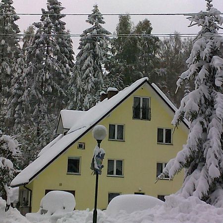 Apartamenty Grapa Szum Rzeki Parking Free Wisła Dış mekan fotoğraf