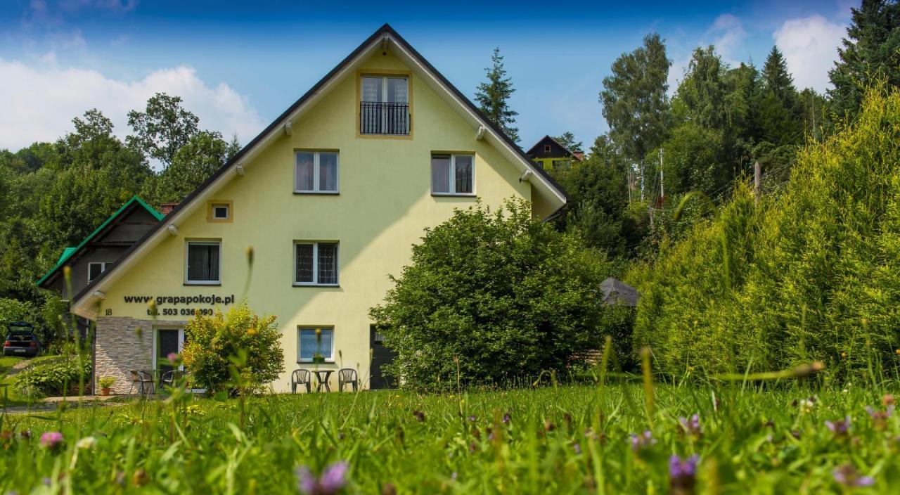 Apartamenty Grapa Szum Rzeki Parking Free Wisła Dış mekan fotoğraf