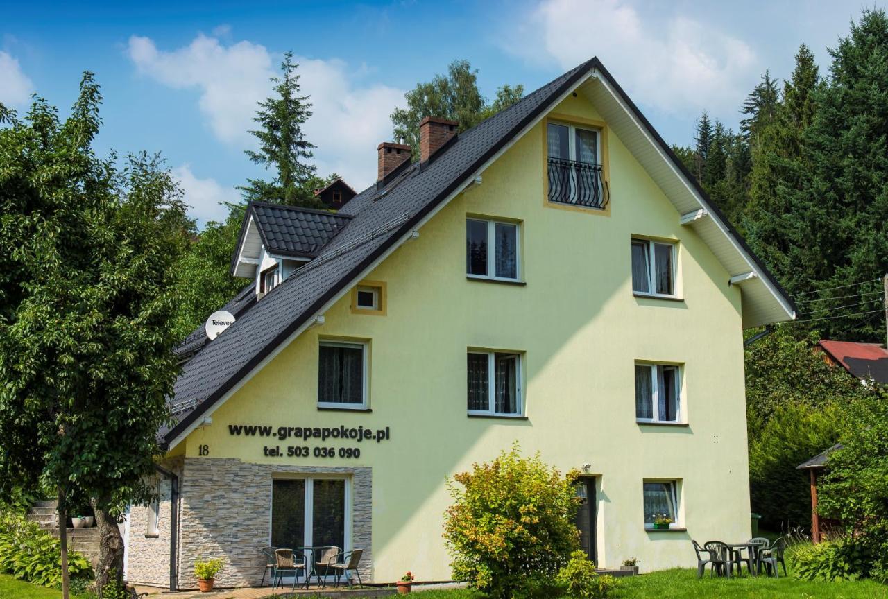 Apartamenty Grapa Szum Rzeki Parking Free Wisła Dış mekan fotoğraf