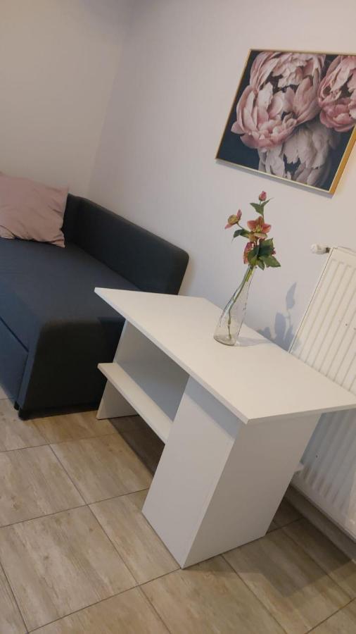 Apartamenty Grapa Szum Rzeki Parking Free Wisła Dış mekan fotoğraf