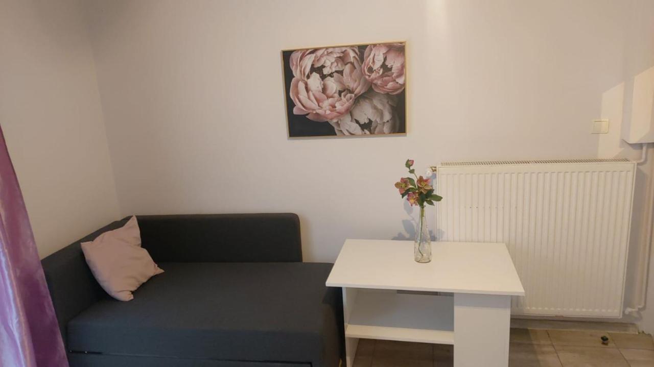 Apartamenty Grapa Szum Rzeki Parking Free Wisła Dış mekan fotoğraf