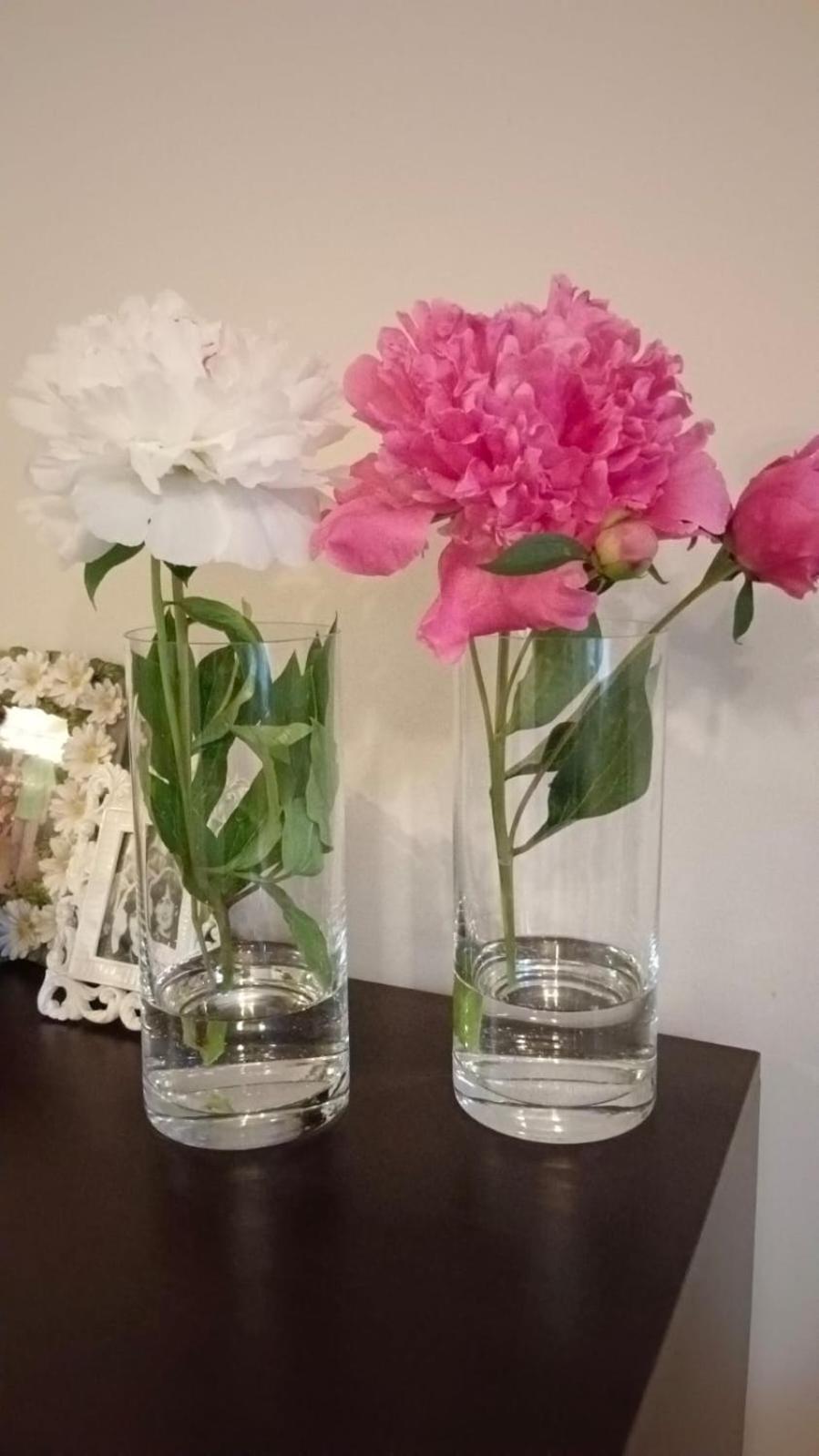 Apartamenty Grapa Szum Rzeki Parking Free Wisła Dış mekan fotoğraf