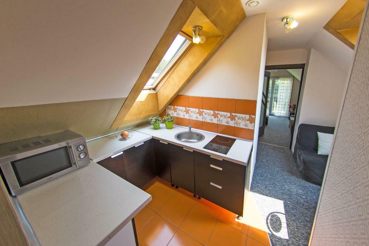 Apartamenty Grapa Szum Rzeki Parking Free Wisła Dış mekan fotoğraf
