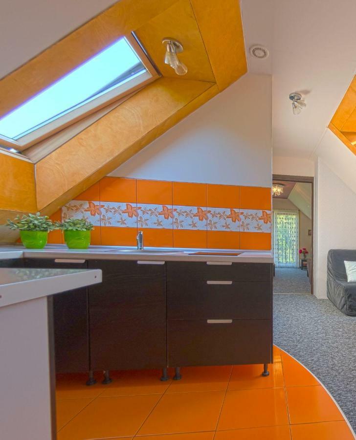 Apartamenty Grapa Szum Rzeki Parking Free Wisła Dış mekan fotoğraf